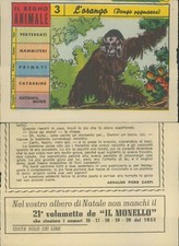 R@R@ FIGURINA DEL REGNO