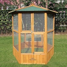 Grande voliera in - 🐦🏡🌿,