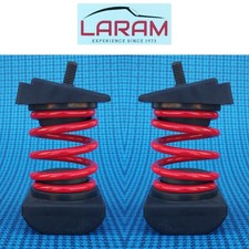 Molle per rinforzo balestra