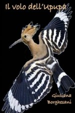 Il Volo Dell'upupa