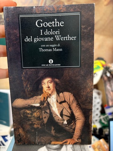 Goethe dolori del - i, giovane