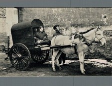 Cina Pechino carretto Cavallo