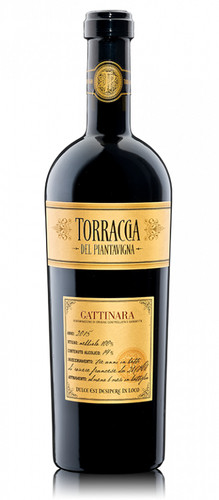 Torraccia del pianavigna - del,