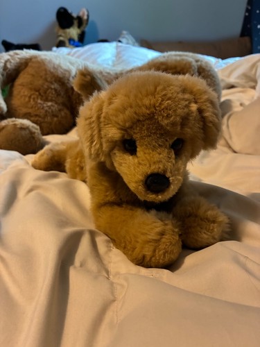 Etichetta rosa peluche - etichetta, rosa!