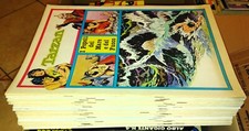 TARZAN TAVOLE DOMENICALI ANAF x34 FUMETTI ED. LIM. 500 COPIE PER SOCI VEDI LISTA