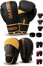 Guanti da boxe EVO MMA Focus