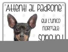 Cartello cane Pinscher ATTENTI AL PADRONE QUI L'UNICO NORMALE SONO IO