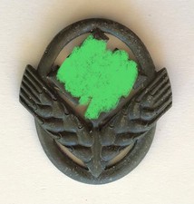 Fregio metallico tedesco 2 gm  - RAD -;Germany metal insigna WWII