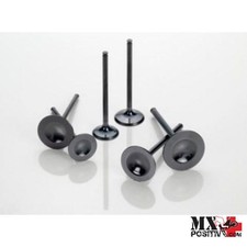 VALVOLA YAMAHA WR 250 F