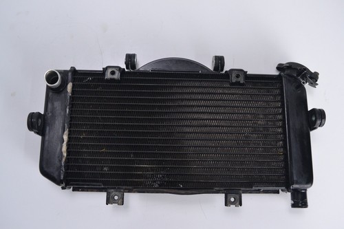 Radiatore yamaha tdm 900 - radiatore,