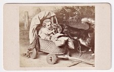 Cane Bambino Passeggiata
