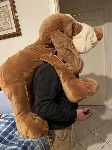 Peluche cane gigante - cane,