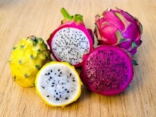 3 PIANTA DI PITAYA VARIETA' GIALLA,ROSSA,BIANCA 30-40 CM , FRUTTO DEL DRAGO