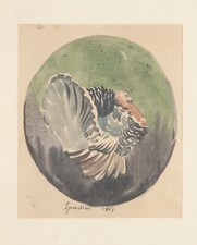 ARMANDO SPADINI (1883-1925) TACCHINO 1901 ACQUARELLO  firma data + dichiarazione