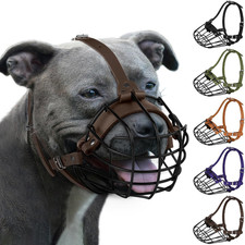 Pitbull Museruola per Cani