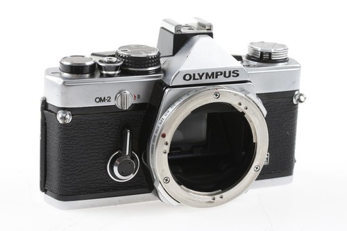 Custodia olympus numero - custodia,