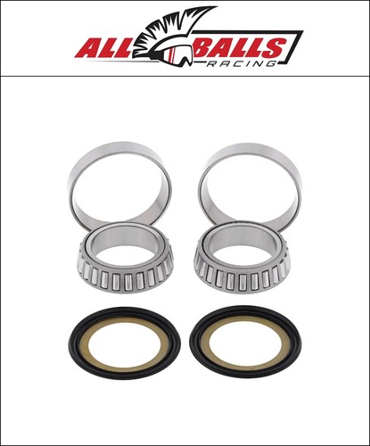 Kawasaki 600 1995 2006 - zz-r, e