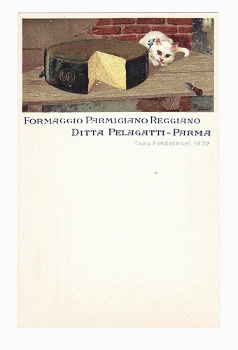 Ditta pelagatti parma - ditta,