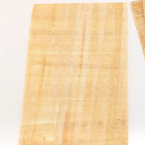 Fogli vuoti carta papiro - vuoti,