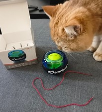 Powerball Basic, allenatore