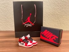 3D Jordan Dunk Air SB Mini