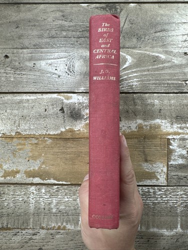 1967 vintage signed - signed, nature