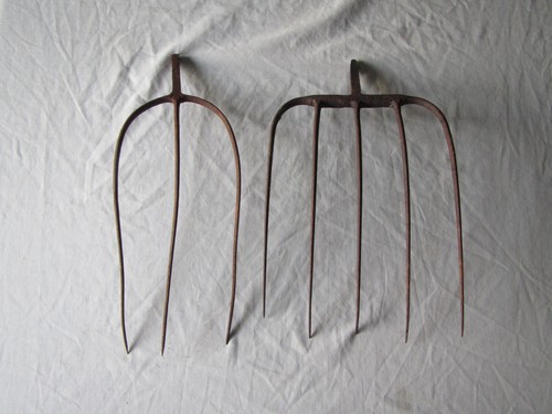 Teste forchette passo ferro - 2,