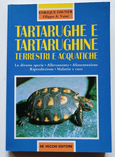 Tartarughe e tartarughine