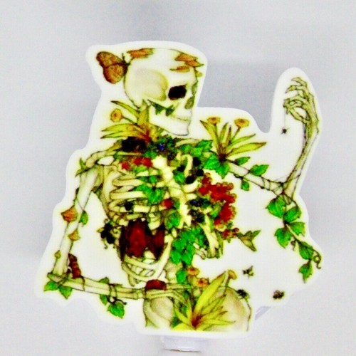 Botanica ossa farfalla - botanica,