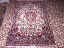 stupend tappeto nuovo bijar