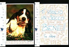 TEMATICA - BELLA VEDUTA DI UN ARIEGEOIS (SEGUGIO FRANCESE) -55527