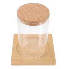 Pianta di Terrario Tabletop fioriera in Piante idroponiche baratto