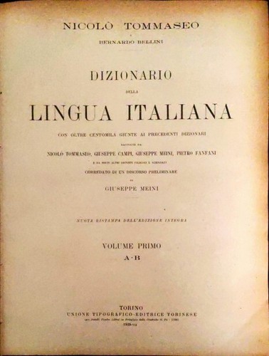 Dizionario della lingua - dizionario,
