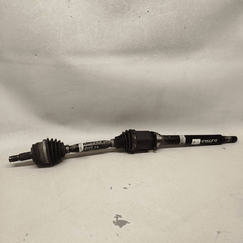 51806989 semialbero ant - 51806989,