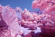 Filtro infrarossi 550nm 49mm