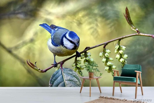 Carta parati branch bird - da,