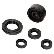 Kit anelli di tenuta motore