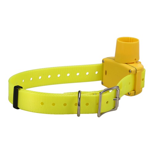 Collare addestramento cani con - collare,