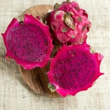 Talea Pitaya Rosso Rossa