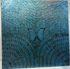 Santana  # Borboletta #  (ITA