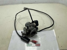 FARFALLA CORPO FARFALLATO