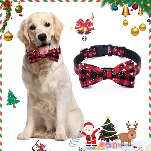 Collare per cani con - , papillon