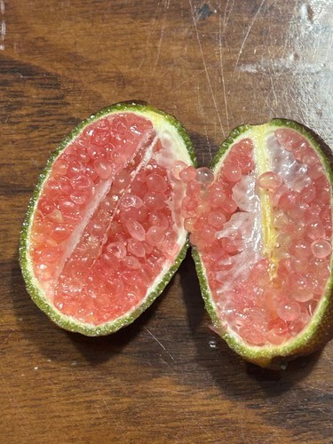 Limone caviale 100 - al,