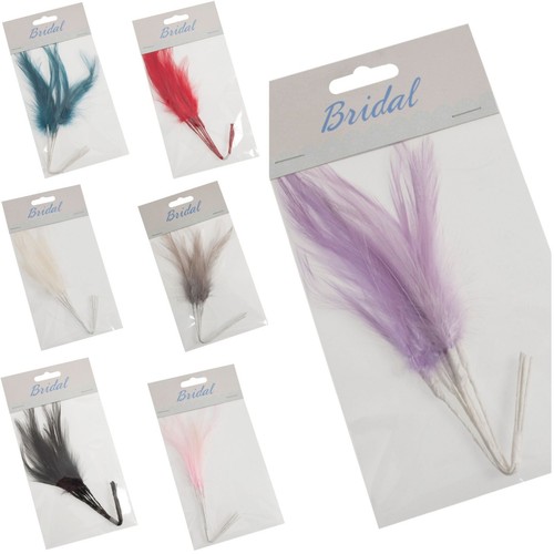 Confezione piume strette - 6,