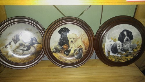 7pcs field puppies fine - 7pcs,