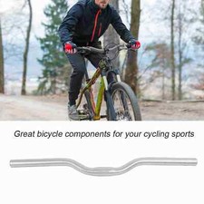 (Argento)Ingranaggio Fisso