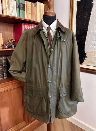 Giacca barbour border sage - giacca,