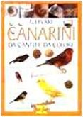 Allevare canarini da canto e da colore