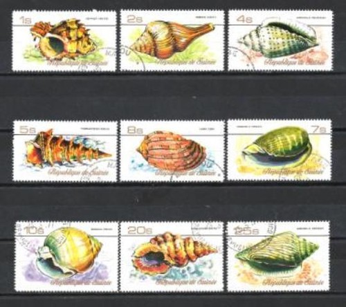 Animali conchiglie guinea 1977 - animali,
