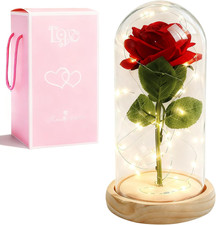 La Bella E La Bestia Eterna